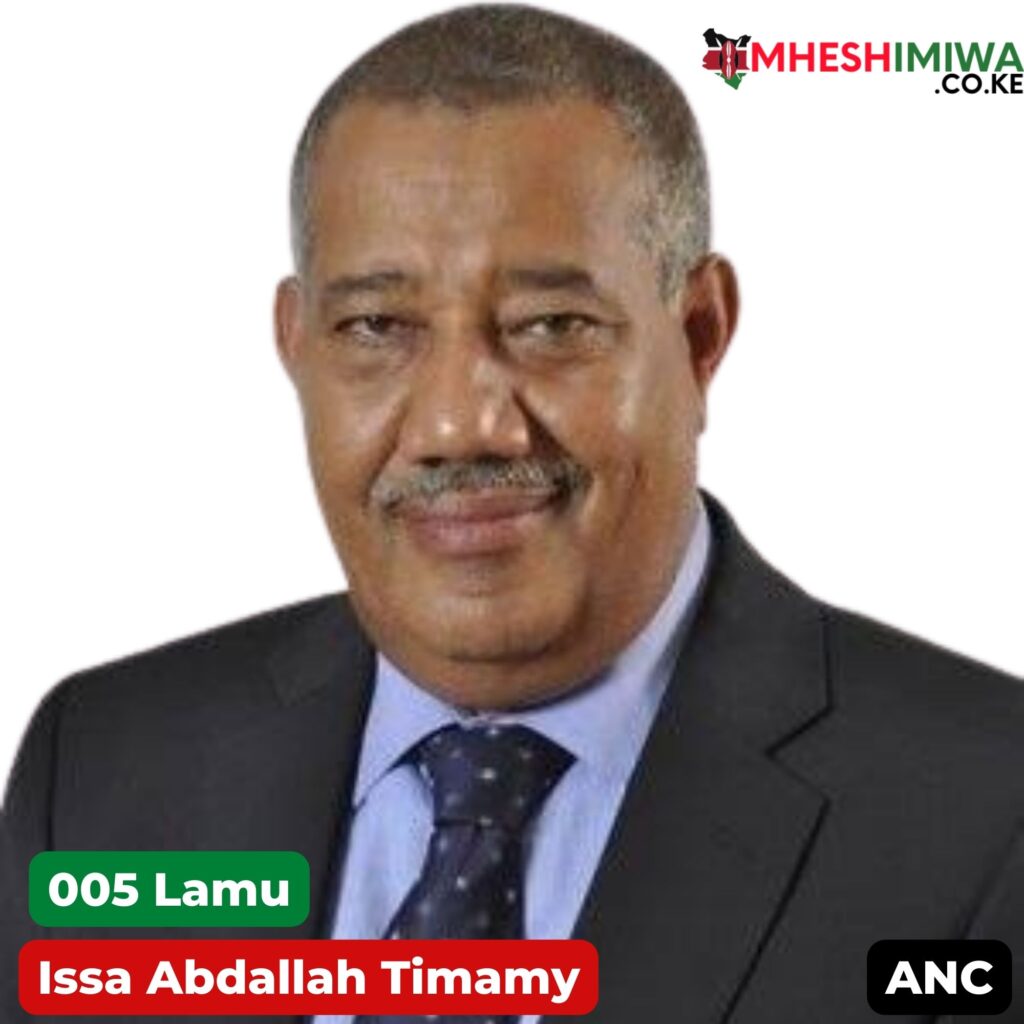 Issa Abdallah Timamy